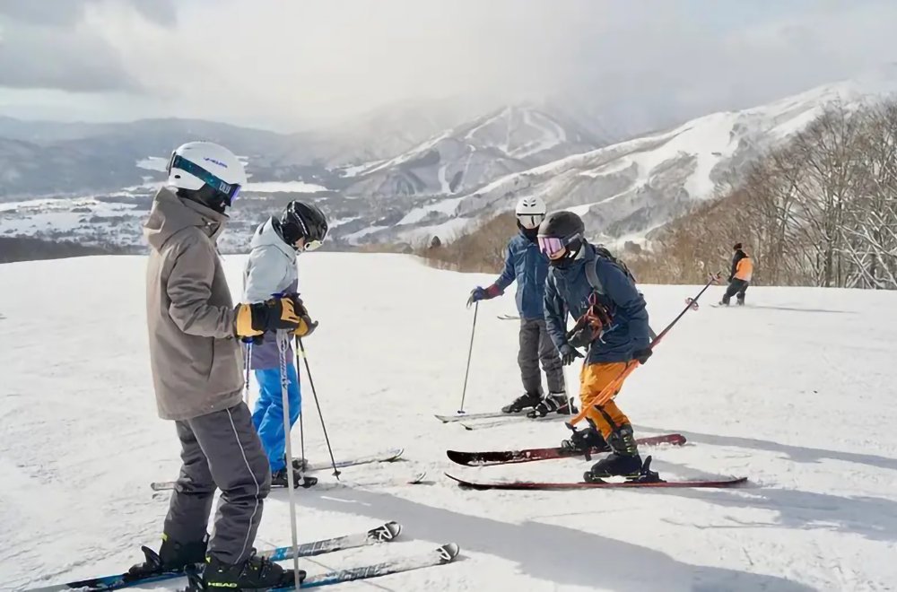 Professional ski instruction services